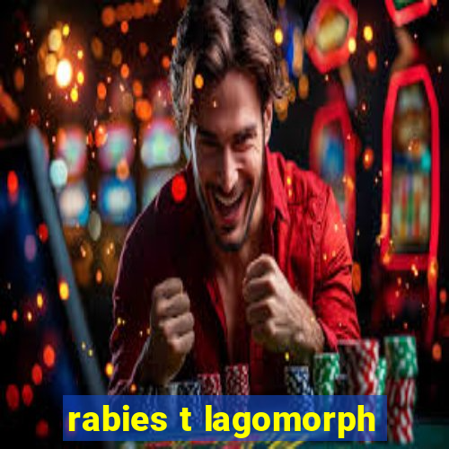 rabies t lagomorph