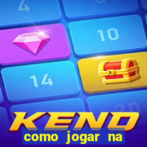 como jogar na seninha online