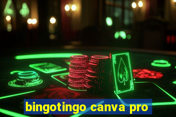 bingotingo canva pro