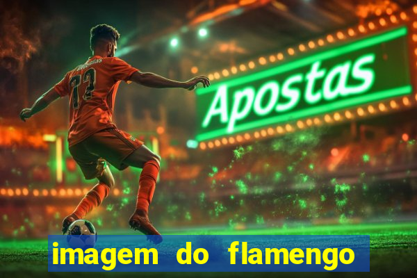 imagem do flamengo para perfil