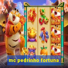 mc pedrinho fortuna