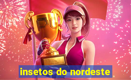 insetos do nordeste